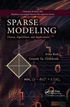 Sparse Modeling - Rish, Irina; Grabarnik, Genady