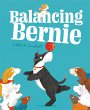 Balancing Bernie - Bild 1