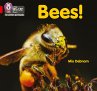 Bees! - Bild 1