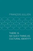 There Is No Such Thing as Cultural Identity