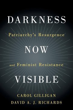 Darkness Now Visible - Gilligan, Carol (New York University); Richards, David A. J. (New York University)