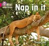 BIG CAT L&S_NAP IN IT - Bild 1