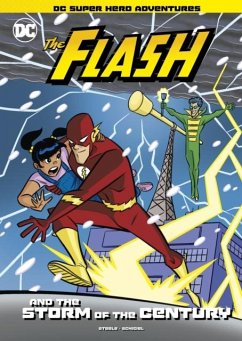 The Flash and the Storm of the Century Cover The Flash and the Storm of the Century