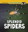 Splendid Spiders - Bild 1