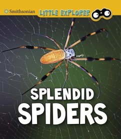 Cover Splendid Spiders