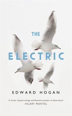 Cover The Electric
