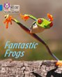 Fantastic Frogs - Bild 1
