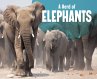 A Herd of Elephants - Bild 1