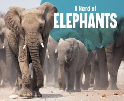 A Herd of Elephants - Kortuem, Amy
