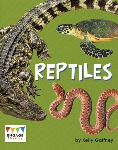 Reptiles Reptiles