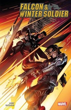 Cover Falcon & Winter Soldier Vol. 1