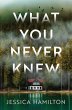 What You Never Knew (eBook, ePUB) - Bild 1