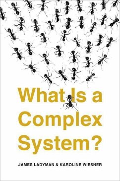 What Is a Complex System? - Ladyman, James; Wiesner, Karoline