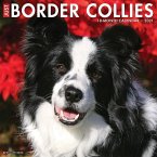 Just Border Collies 2021 Wall Calendar (Dog Breed Calendar)