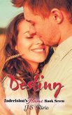 Destiny: Indecision's Flame - Book 7