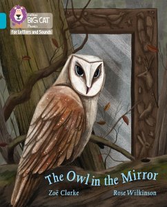 The Owl in the Mirror - Clarke, Zoe