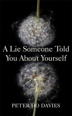 A Lie Someone Told You About Yourself - Davies, Peter Ho