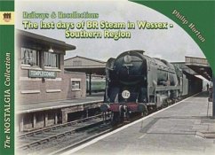 Last Days of steam in Wessex Vol 2 - Horton, Phil
