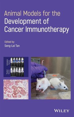 Animal Models for the Development of Cancer Immunotherapy