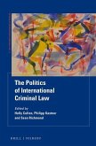 The Politics of International Criminal Law