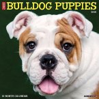 Just Bulldog Puppies 2021 Wall Calendar (Dog Breed Calendar)