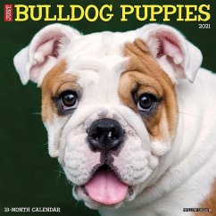 Just Bulldog Puppies 2021 Wall Calendar (Dog Breed Calendar) - Willow Creek Press