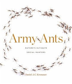 Army Ants - Kronauer, Daniel J. C.