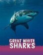 Great White Sharks - Bild 1