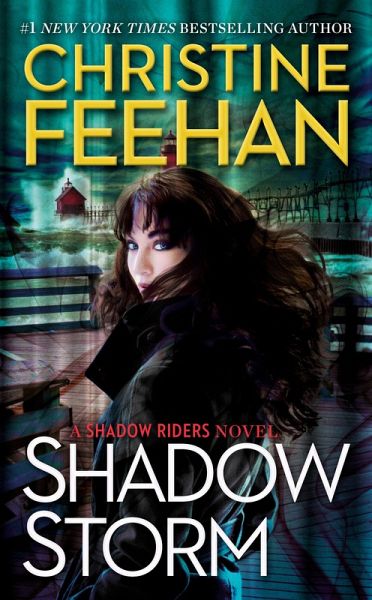 Shadow Storm (eBook, ePUB)