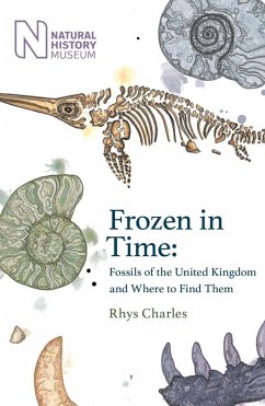 Frozen in Time - Charles, Rhys