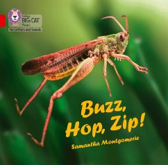 Buzz, Hop, Zip! Big Book - Montgomerie, Samantha