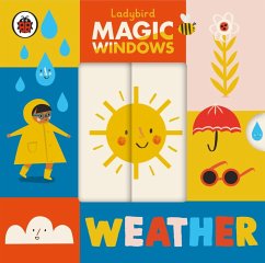 Magic Windows: Weather - Ladybird