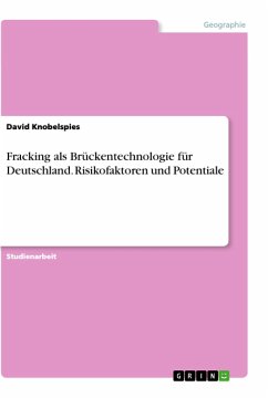 Fracking als Brückentechnologie für Deutschland. Risikofaktoren und Potentiale