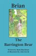 Brian The Barrington Bear - Bild 1