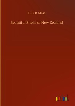 Beautiful Shells of New Zealand