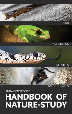 The Handbook Of Nature Study in Color - Fish, Reptiles, Amphibians, Invertebrates - Comtock, Anna