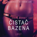 Čistač Bazena - Seksi erotika (MP3-Download)