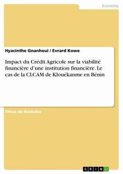 Impact du Crédit Agricole sur la viabilité financière d'une institution financière. Le cas de la CLCAM de Klouékanme en Bénin (eBook, PDF)