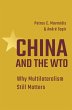 China and the WTO (eBook, ePUB) - Bild 1
