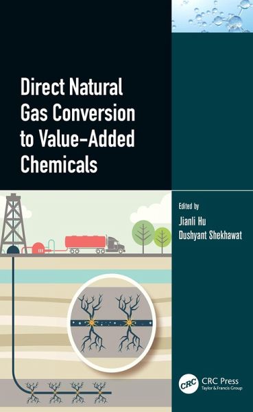 Direct Natural Gas Conversion to Value-Added Chemicals (eBook, PDF)