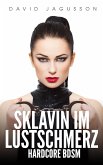 Sklavin im Lustschmerz – Hardcore BDSM (eBook, ePUB)