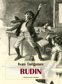 Rudin (eBook, ePUB)