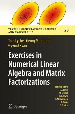 Exercises in Numerical Linear Algebra and Matrix Factorizations - Lyche, Tom;Muntingh, Georg;Ryan, Øyvind