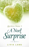 A Noel Surprise (Quickies, #3) (eBook, ePUB)