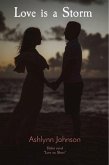 Love is a Storm (eBook, ePUB)