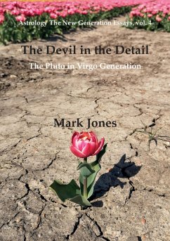 The Devil in the Detail (eBook, ePUB) - Jones, Mark
