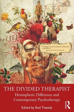 Cover The Divided Therapist (eBook, PDF)