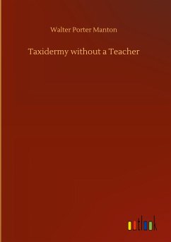 Taxidermy without a Teacher