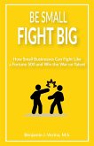 Be Small Fight Big: How Small Businesses Can Fight Like a Fortune 500 and Win the War on Talent (eBook, ePUB)