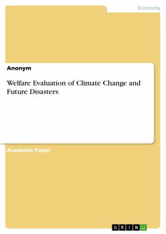 Welfare Evaluation of Climate Change and Future Disasters (eBook, PDF)